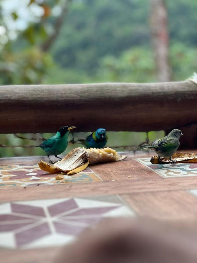 Chale E Suite Manaca Ubatuba Eksteriør bilde